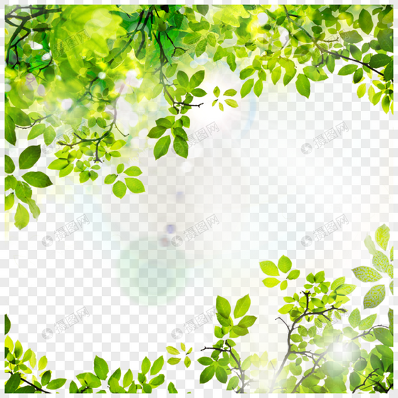 树叶阳光热带夏季绿色边框图片