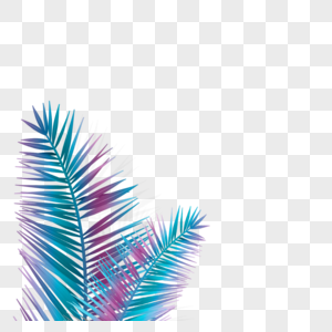 彩色霓虹棕榈叶植物图片
