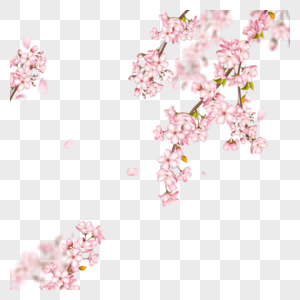 淡粉色虚化光效樱花枝条图片
