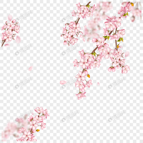 淡粉色虚化光效樱花枝条图片