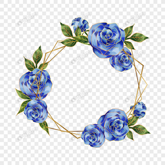 蓝色玫瑰花蓝金花朵花卉植物图片