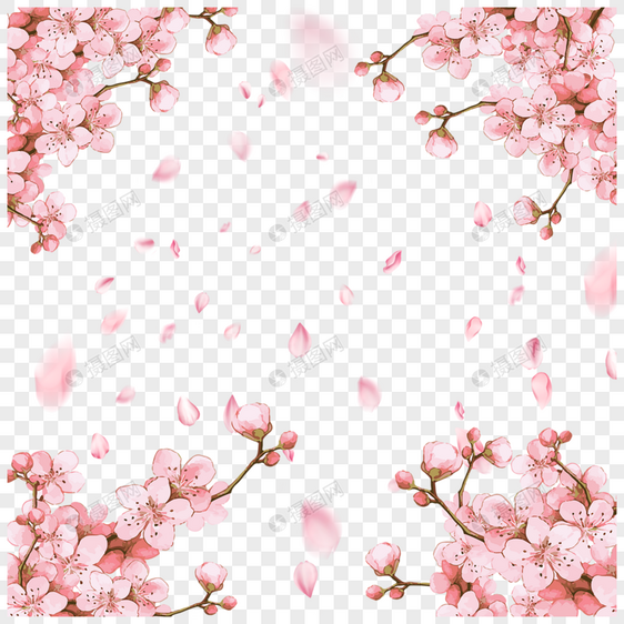 粉色樱花春季花瓣光效飘落图片