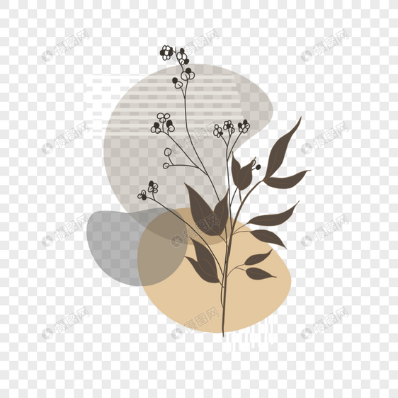 抽象几何画线植物背景图片