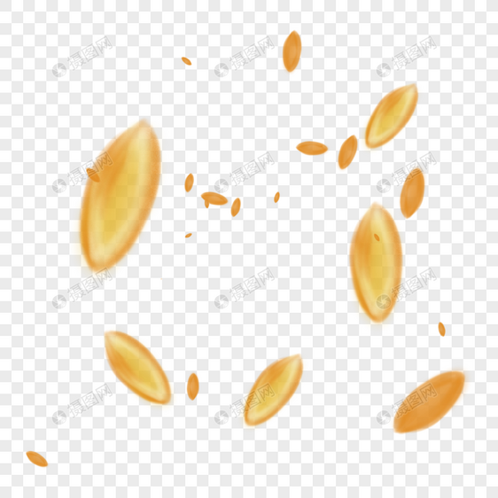 金黄的小麦籽粒图片
