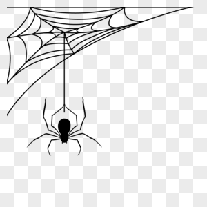 手绘蜘蛛网图片