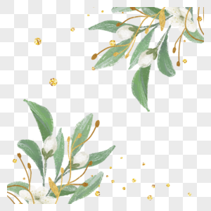 金色叶子植物边框图片