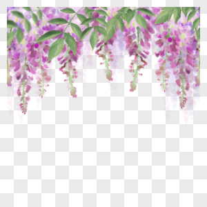 水彩紫藤花粉紫色花花束高清图片