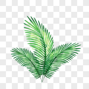 矢量绿色棕榈树装饰图片