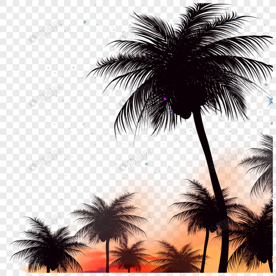 椰子树剪影夏季夜晚边框图片
