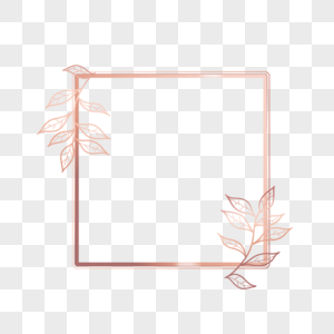 光效玫瑰金叶子植物婚礼边框正方形图片