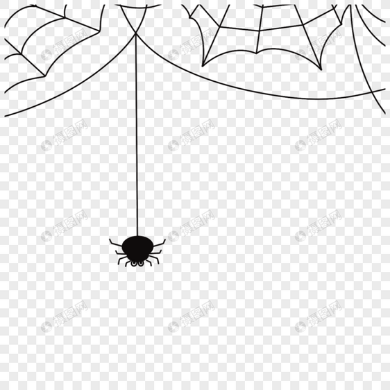 万圣节黑蜘蛛网蜘蛛图片