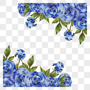 蓝色植物玫瑰花蓝金花朵花卉图片