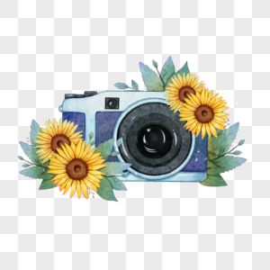 水彩向日葵花卉相机图片