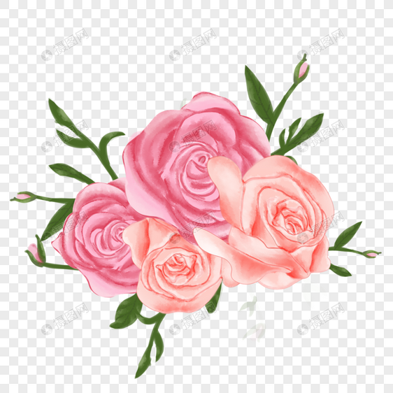水彩粉色玫瑰花卉图片