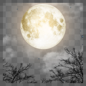 天空中的圆月照射着树林图片