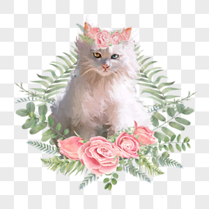 花卉卡通动物粉色猫图片