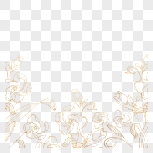 金色线条花卉植物线稿边框图片
