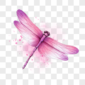 昆虫粉色蜻蜓水彩图片