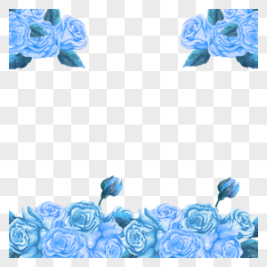 蓝色植物玫瑰花蓝金花朵花卉图片