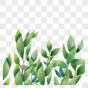 春天植物水彩尤加利叶边框图片