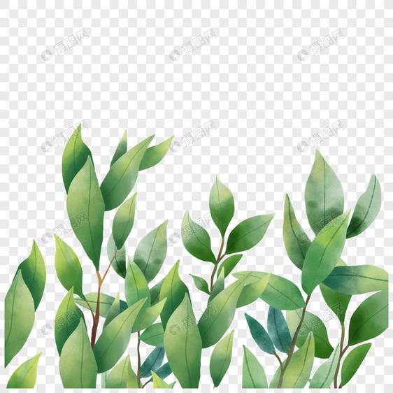 春天植物水彩尤加利叶边框图片