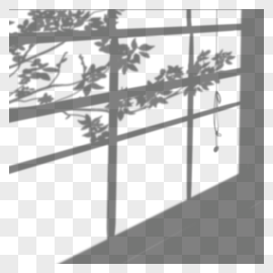 简约风格树木窗口阴影叠加图片
