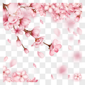 春季粉色樱花边框光效花瓣飘落图片