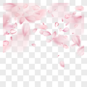 动态唯美粉色花瓣春天光效樱花边框图片
