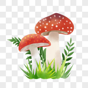 水彩童话蘑菇植物草丛和伞形菌类图片