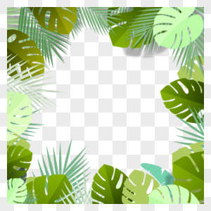 夏季热带树叶绿色棕榈叶子边框图片