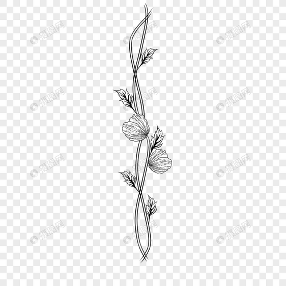 花卉艺术线条分隔线植物花朵黑白线条图片