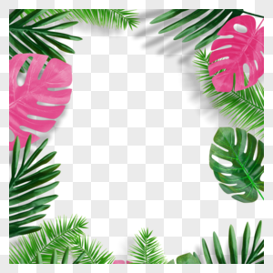 夏季彩色龟背竹棕榈叶边框图片