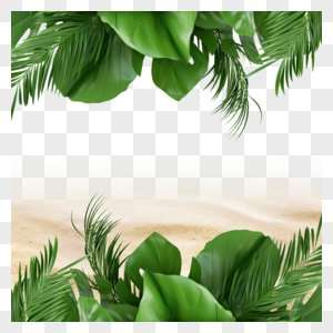 夏季沙滩热带背景绿色植物图片
