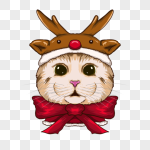 戴着可爱驯鹿帽子的圣诞猫咪肖像图片