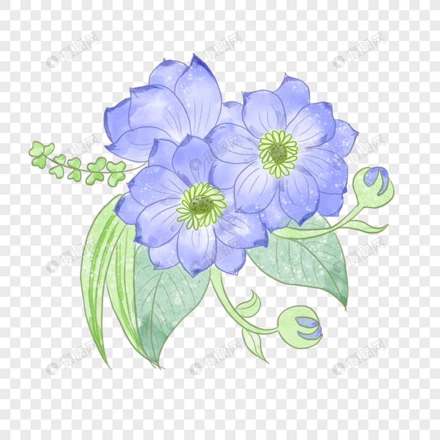 蓝色银莲花花语图片