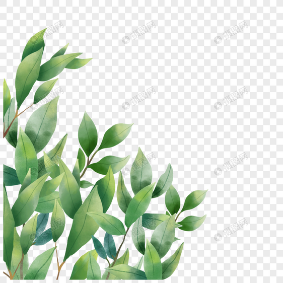 优雅植物画水彩尤加利叶边框图片