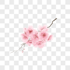 粉色樱花花团水彩樱花图片
