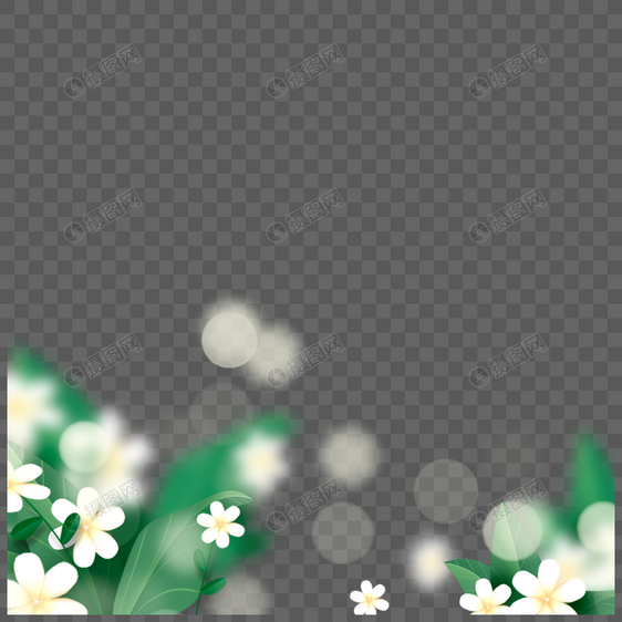 青翠树叶白色花朵春天光效花卉边框图片