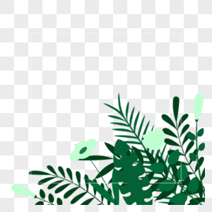绿色树叶龟背竹边框图片