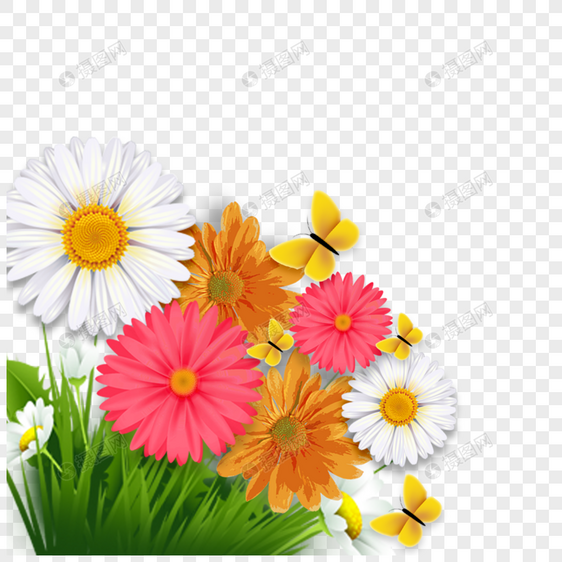 彩色花朵小雏菊元素图片