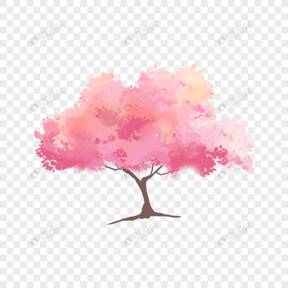 粉色樱花树水彩花朵图片
