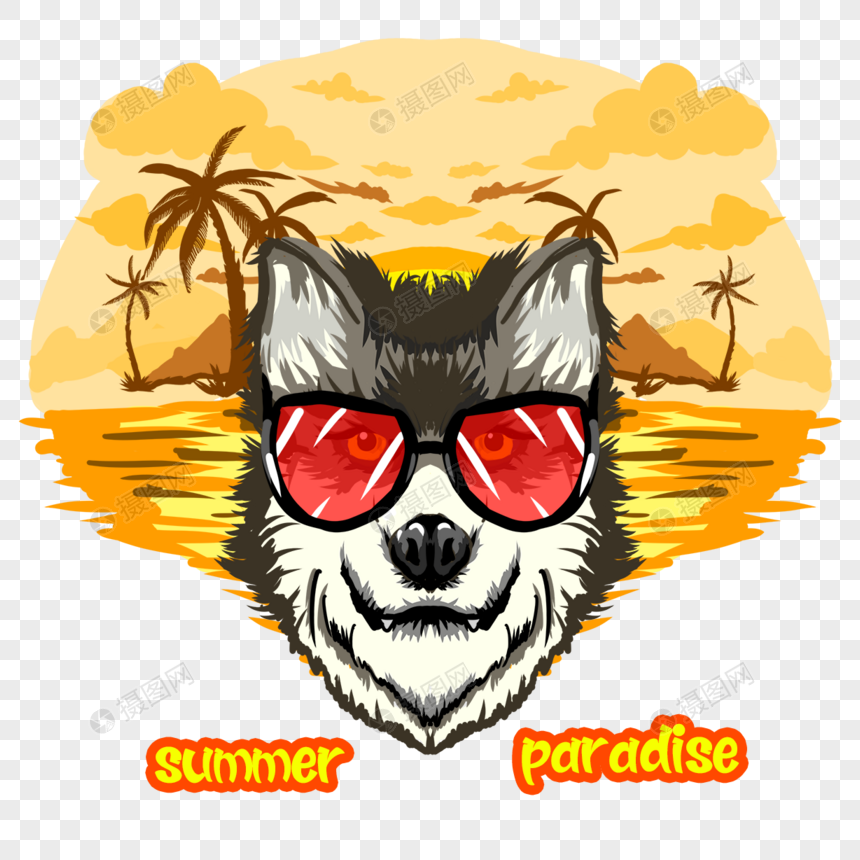 夏天与椰子树海岛的金黄狗图片