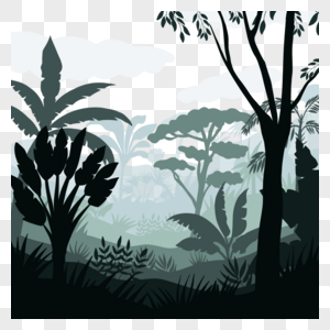 森林植物景观热带图片
