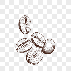 五个粗糙裂壳线稿咖啡豆图片