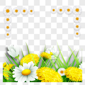 小雏菊边框元素图片