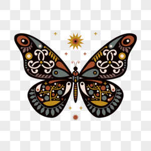 波西米亚蝴蝶图片