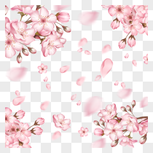 春季光效粉色樱花边框花瓣飘落图片