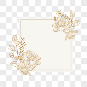 金色线稿花卉植物边框图片