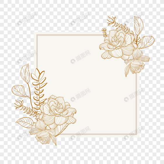 金色线稿花卉植物边框图片