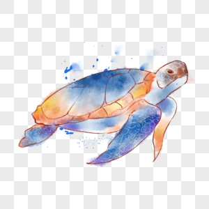 水彩海洋动物海龟图片